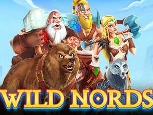 Wild Nords game thumbnail